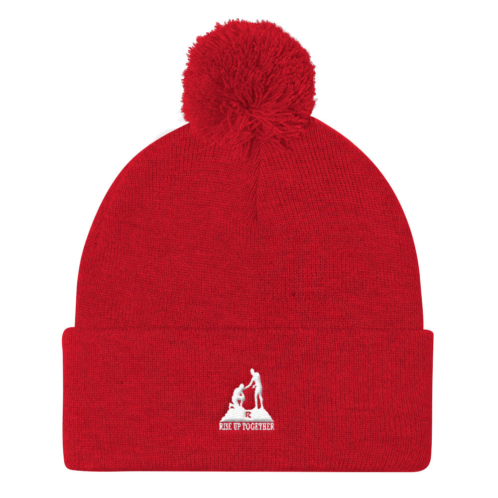 Pom Pom Knit Cap
